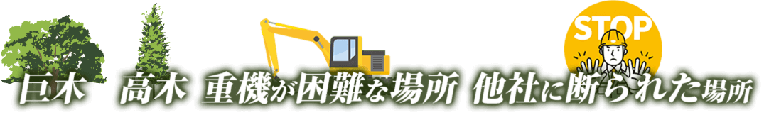 巨木 高木 重機が困難な場所 他社に断られた場所