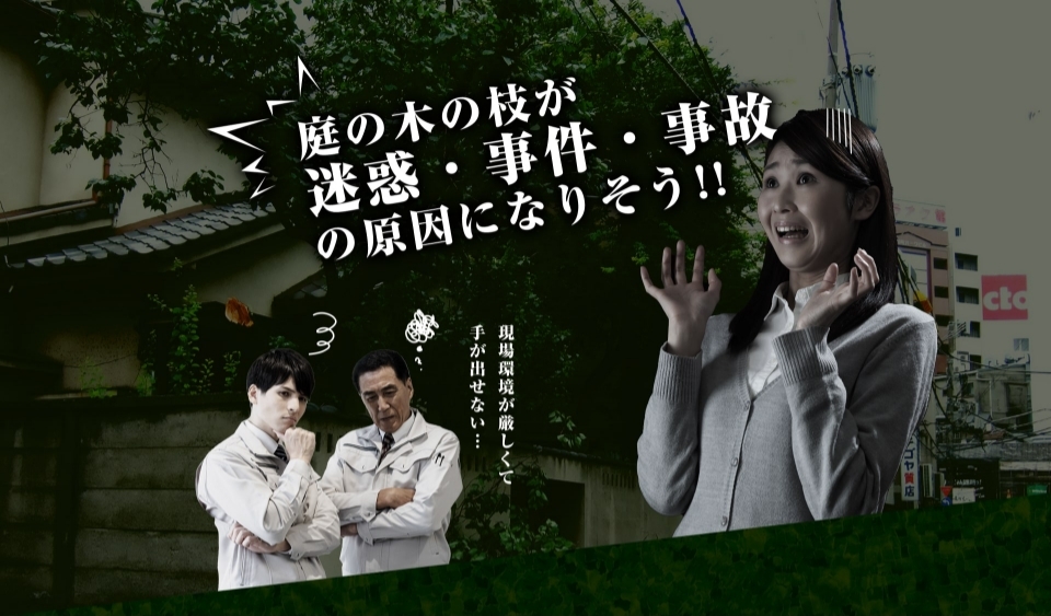 庭の木の枝が迷惑・事件・事故の原因になりそう!!