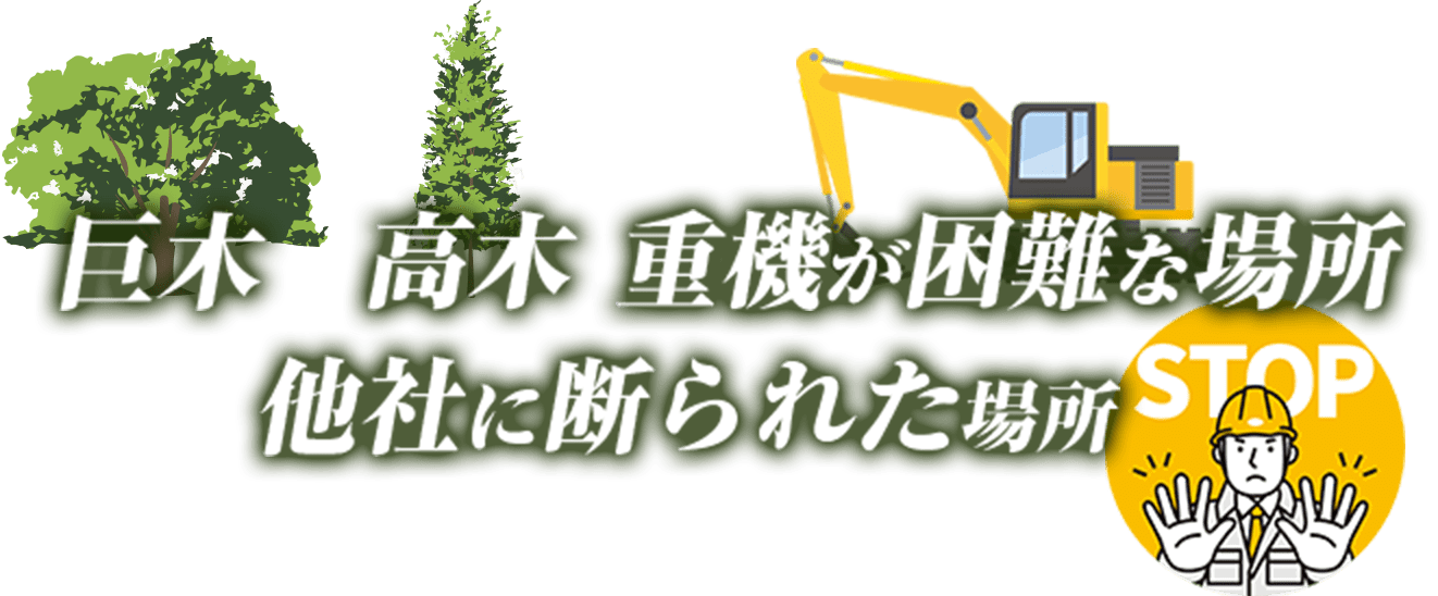 巨木 高木 重機が困難な場所 他社に断られた場所